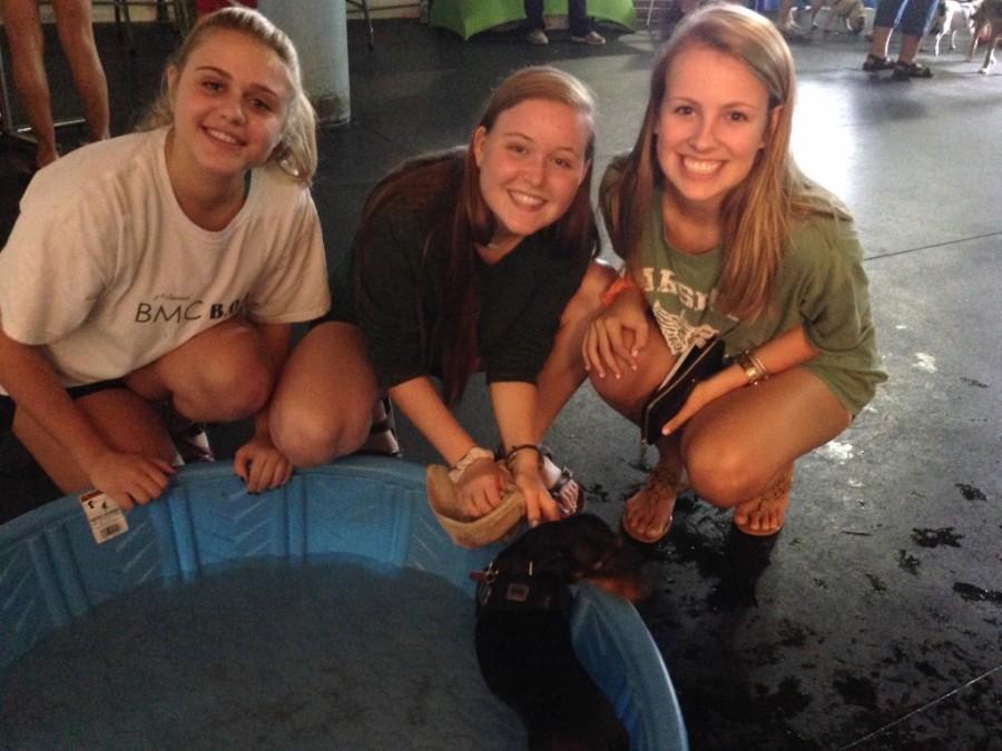 Juniors Izzy James, Dani Kaiser, and Katelyn Christie volunteer at Picassos by Paws event.