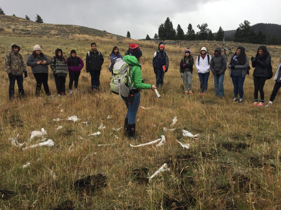 Students+Learn+About+the+Environment+in+Yellowstone+National+Park