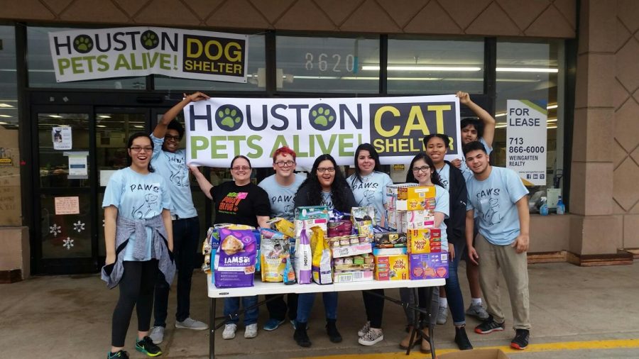 PAWS Club volunteering with Houston Pets Alive!