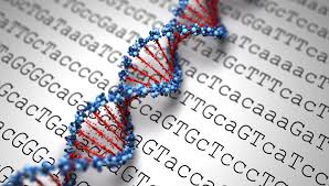 Genetic Testing Our Future