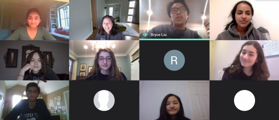 Fifteen members of SWB and Medical Club joined a Google Meet call on Feb. 11 to hear from Dr. Andrea Stolar, a forensic psychiatrist at Baylor College of Medicine. 