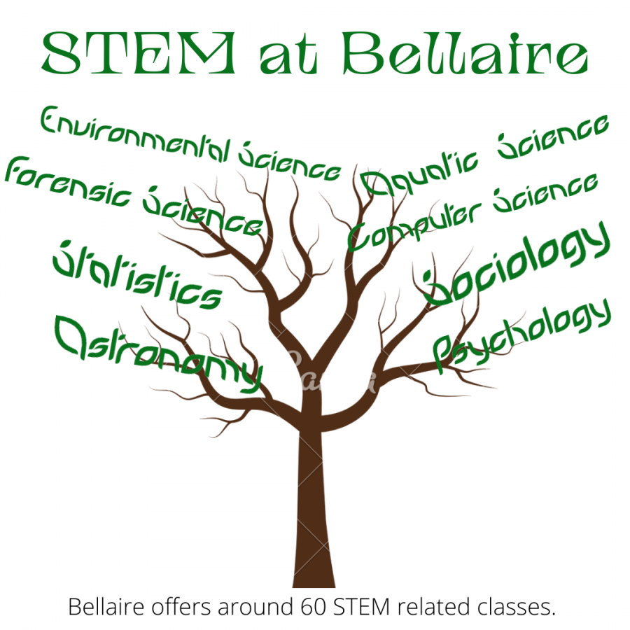 Bellaire High School offers around 60 various STEM related classes. Seniors Albert Zhu and Maggie Schwierking have taken a variety of these courses.