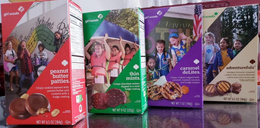 My top four favorite Girl Scout Cookies, with my favorite, Peanut Butter Patties on the left. Each box costs $5.