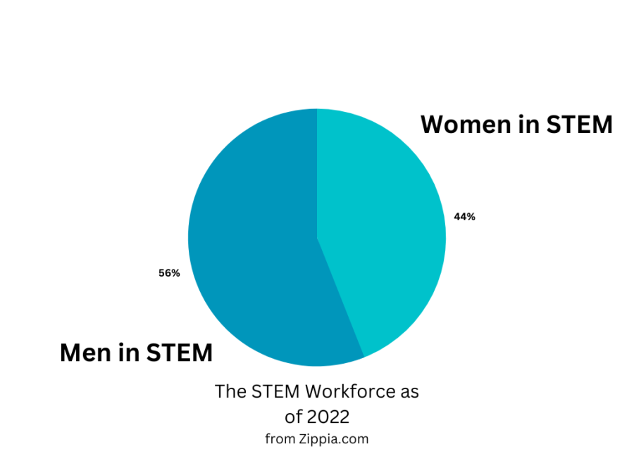 STEM and IT are historically male-dominated fields. Girls Talk Tech works to educate, encourage and empower women to explore STEM.
