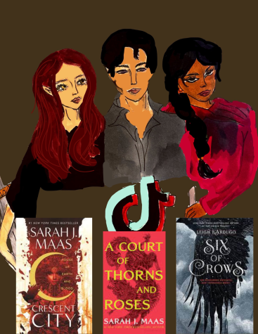 Characters Bryce Quinlan, Rhysand, and Inej from books : Crescent City, Six of Crows, and A Court of Thorns and Roses.
