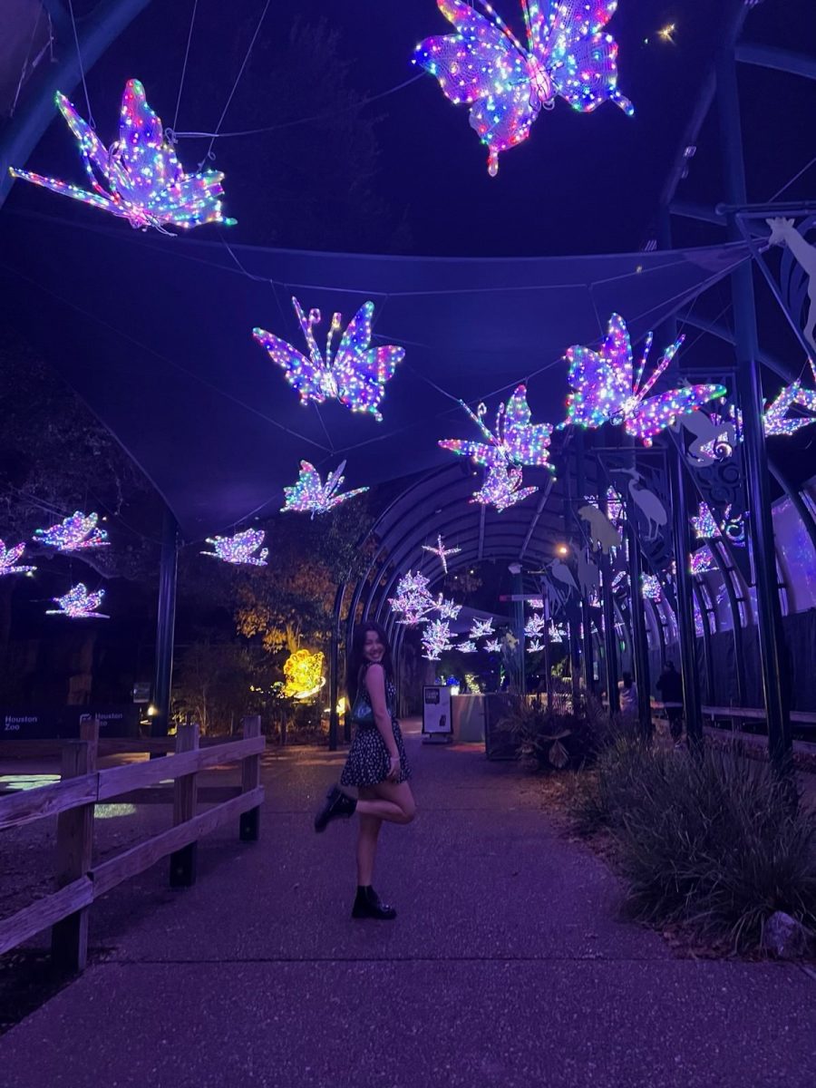 A beloved Houston tradition, the Zoo Lights offer a mile of animal themed light displays. The first Zoo Lights presentation was 12 years ago, but has quickly become the most popular Christmas activity in Houston.