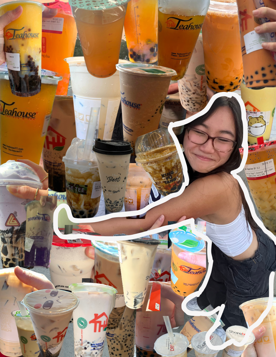 Ive been exposed to bubble tea since I was a baby, but recently Ive been drinking it every day. I live about five minutes away from Sharetea and Teahouse and have gone to almost every boba shop down the Bellaire Chinatown strip.