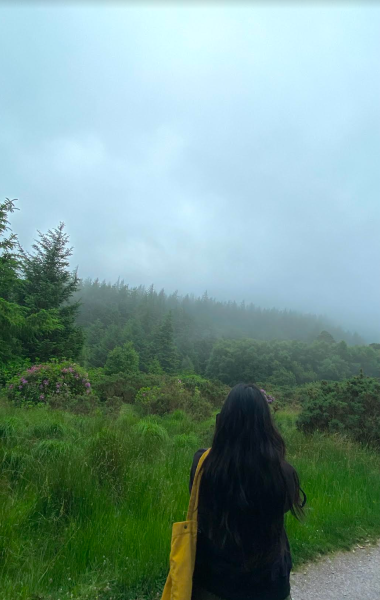 In Killarney National Park, you can explore over 26,000 acres of lakes, woodlands, waterfalls, and natural heritage. It has gorgeous green forests that surround the park for hiking.