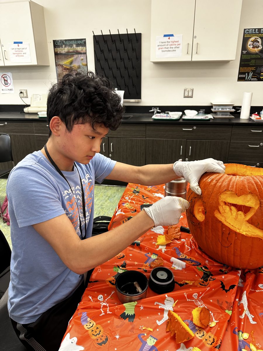 (Caption: Sophomore Mike Weng carves his pumpkin.)