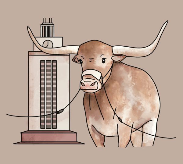 Bevo the Longhorn is UT Austin's mascot, and the UT Tower has been an iconic part of the campus since its construction in 1937.