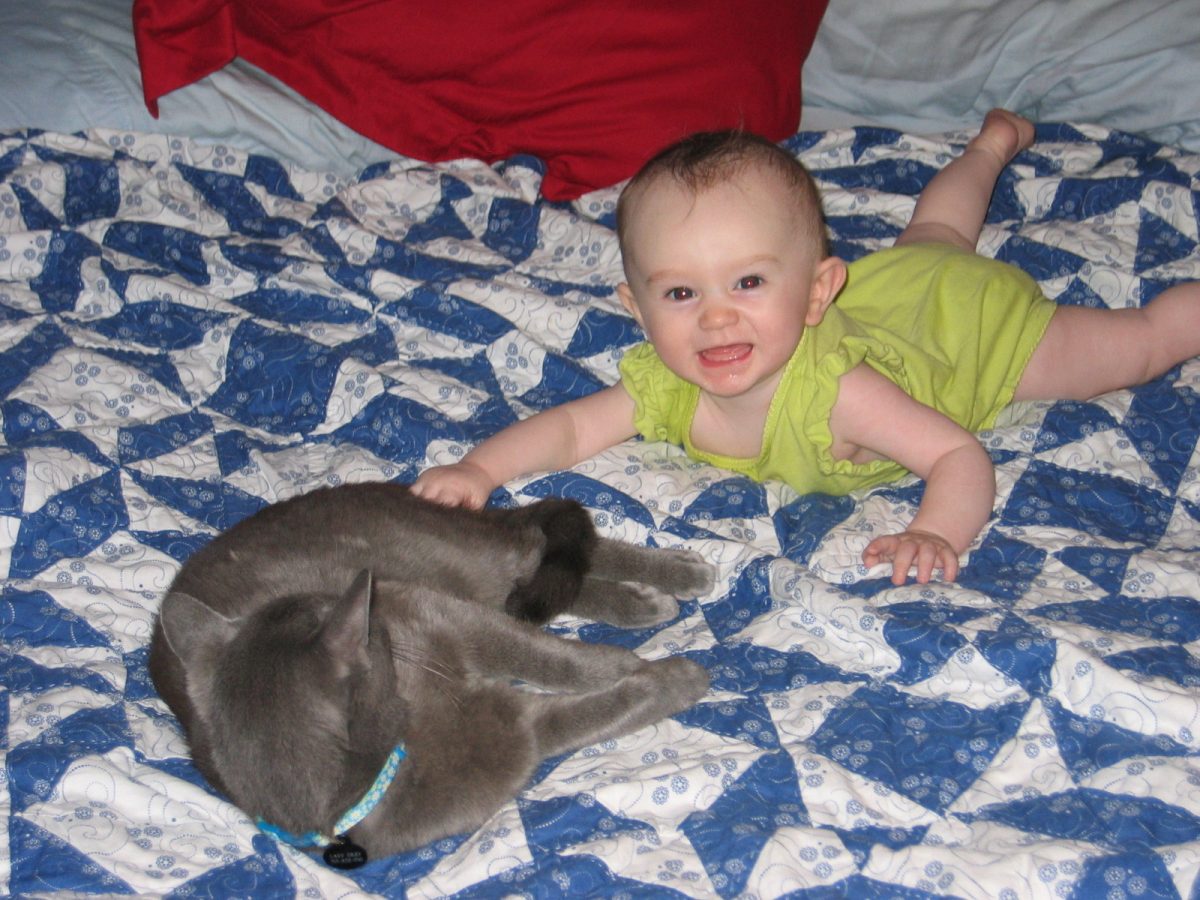 This photo was taken on Oct. 5, 2007, one month after my parents adopted Lady Grey from their friend. She was fostering Lady Grey as well as her father and her kittens, and when I met Lady Grey, I immediately fell in love with her.