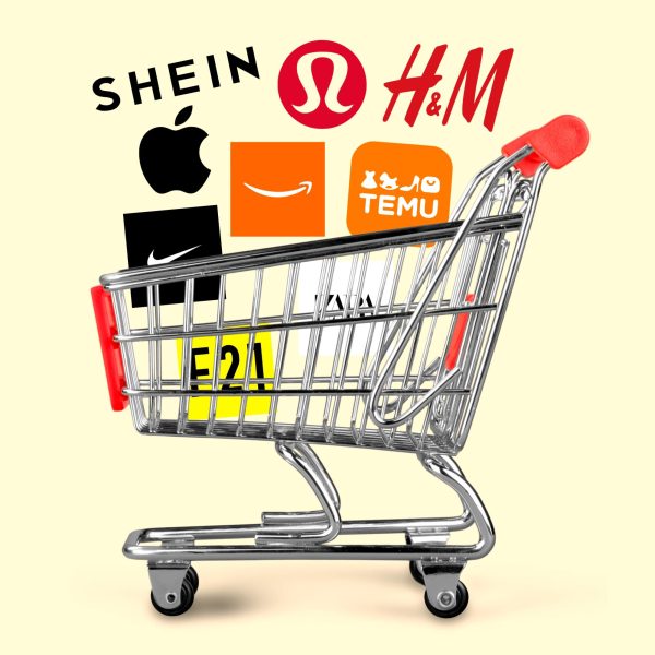 A shopping cart overflows with brands known to contribute to fast fashion or promote overconsumption in their markets. Despite multiple investigations, these brands continue to exploit their employees for maximum profit.