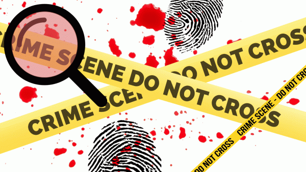 Forensics is more than just science. According to Sarah Shado, forensics gave her the opportunity to uncover the truth, and give answers to families who would otherwise have been left in the dark. 