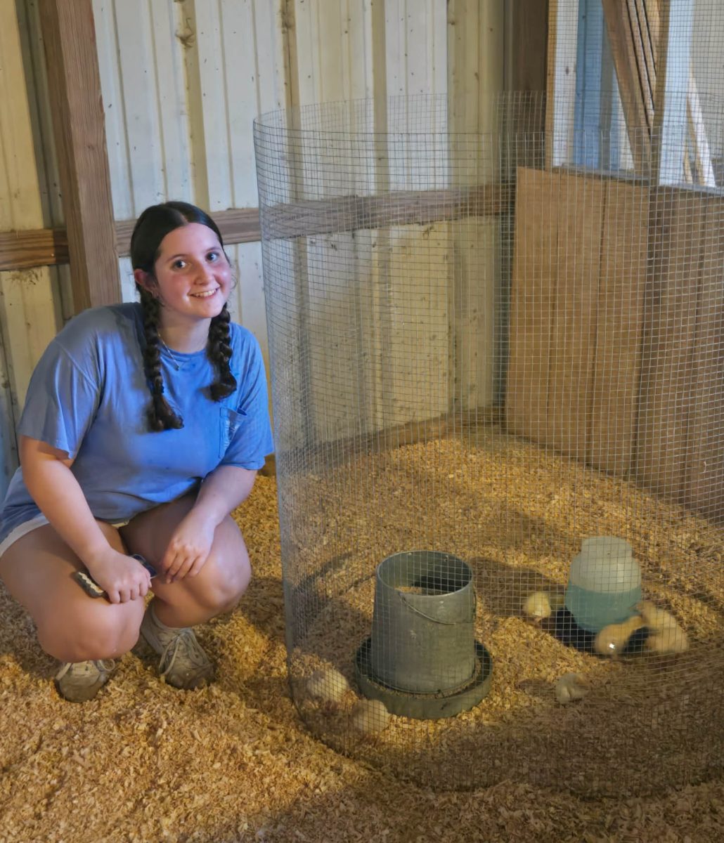 Junior Liat Lutfak poses with her newborn turkies. Lutfak got the turkies when they were only a few days old and has seen their personalities develop.