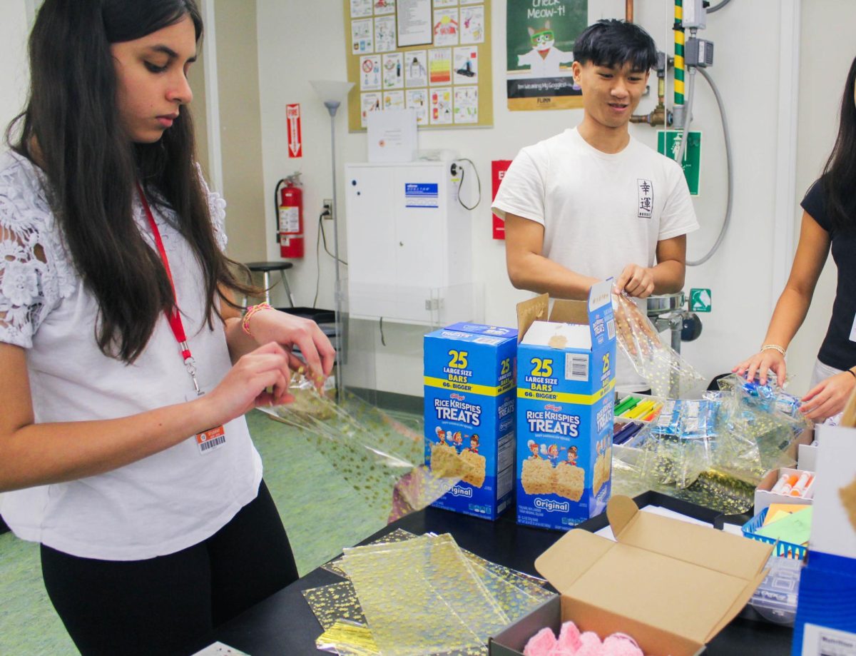 Senior Kashika Adhikari and junior Colin Chu package the gift bags. Each gift bag contained a Rice Krispy Treat, thank-you card and crocheted keychain.
