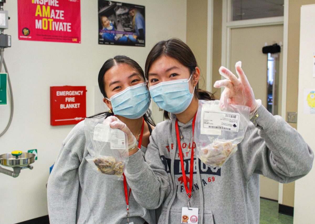 Club President Julianna Shim (right) and officer Reagan Bui (left) hold the undissected sheep brains. The club purchased four sheep brains for dissection.
