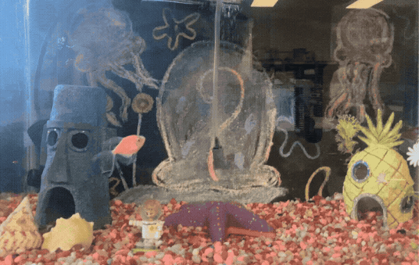 The Bikini Bottom-themed fish tank in English teacher Elizabeth Chapman’s room belongs to seniors Aniyha Wilkins and Gei’reyelle Caliste in Aquatic Science teacher Julie Baker’s second period. To ensure the fish stay healthy, students do salt dips, monitor pH levels and look for signs of eggs.