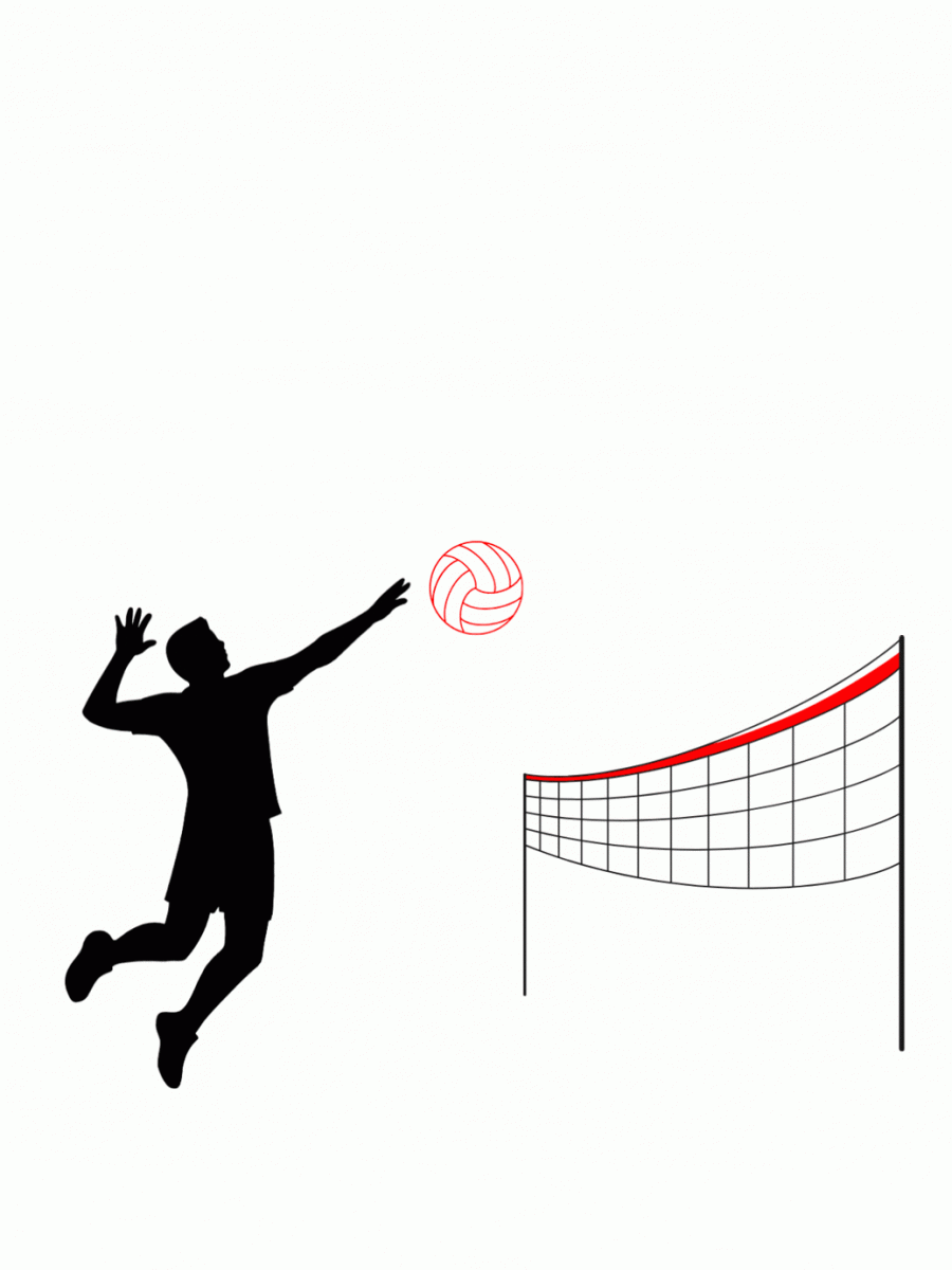 The NCAA men's volleyball net is 7 feet 11 inches, measuring 7 inches higher than the NCAA women’s volleyball net. Bellaire recently introduced a boys volleyball club team coached by varsity girls volleyball coach Karissa Sluss.