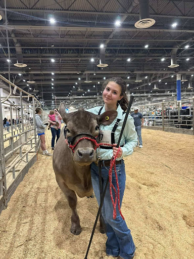 Senior Leah Dawlett poses with her cow at the Houston Livestock Show and Rodeo. Dawlett has been in FFA for four years.